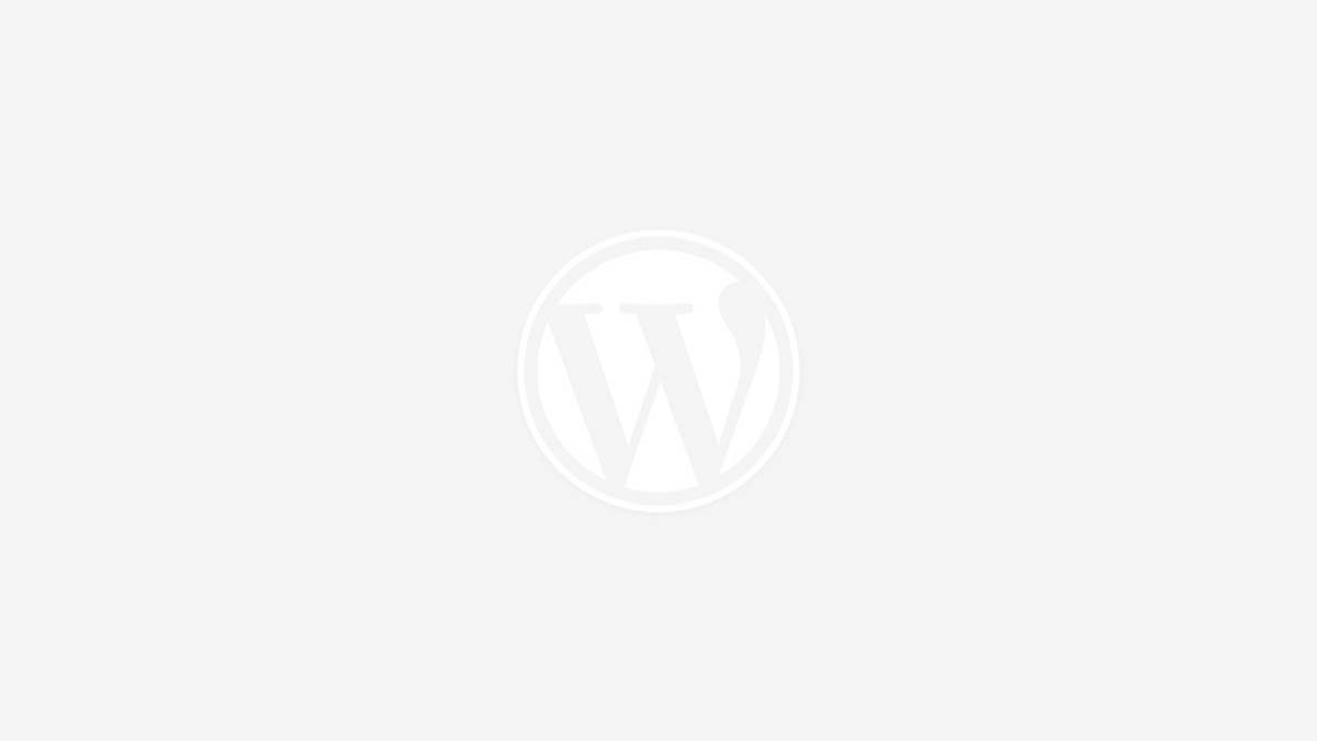 Wordpress logo bg